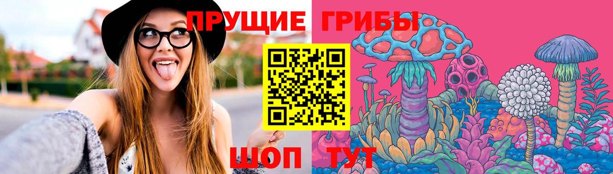 Дмитров  Псилоцибиновые грибы прущие грибы  Вход с VPN  Галлюциногенные грибы Magic Shrooms 